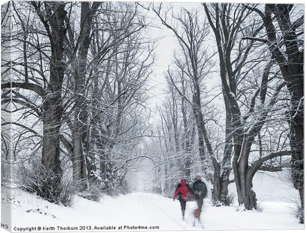 Winter Walk Canvas Print by Keith Thorburn EFIAP/b