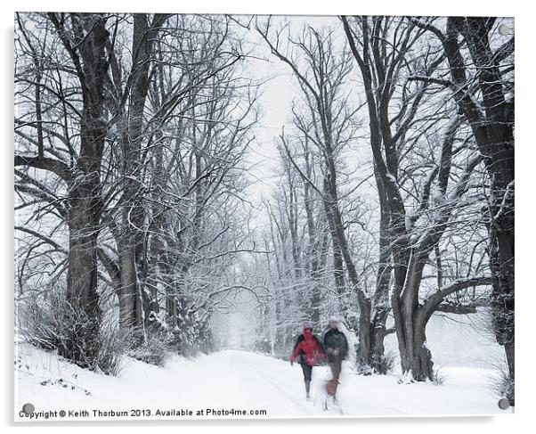 Winter Walk Acrylic by Keith Thorburn EFIAP/b