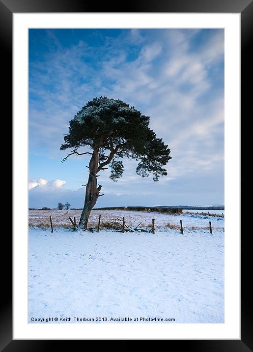 Winter Tree Framed Mounted Print by Keith Thorburn EFIAP/b