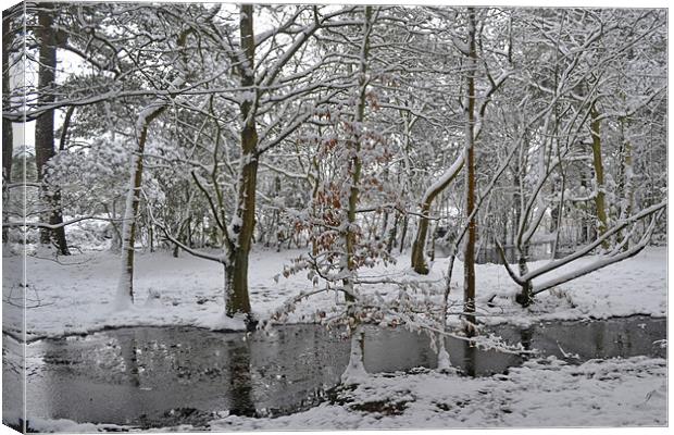 A winters pond Canvas Print by Donna Collett