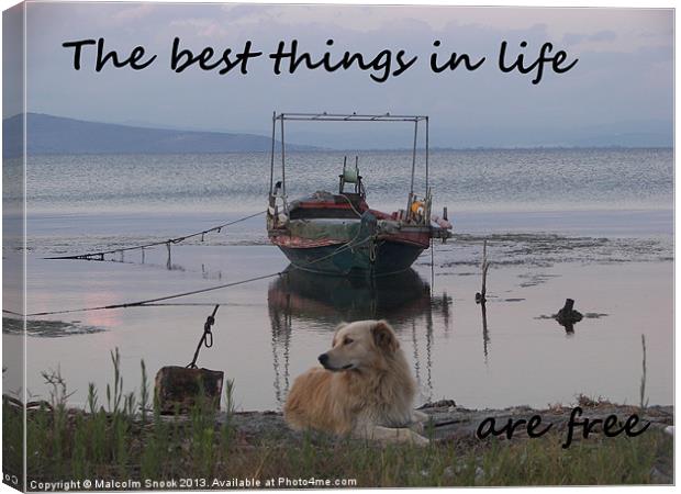 The best things in life Canvas Print by Malcolm Snook