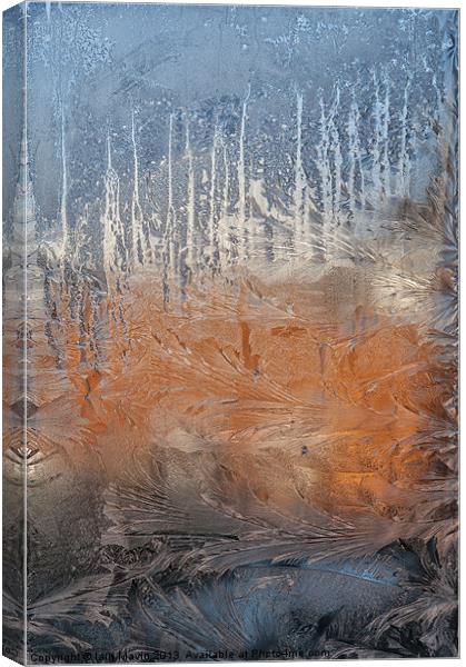 Ice Painting Canvas Print by Iain Mavin