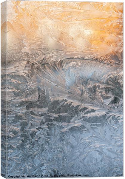 Frost on a window Canvas Print by Iain Mavin