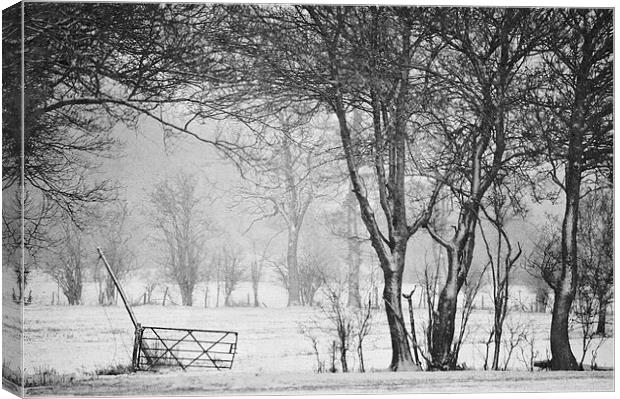 In the Bleak Midwinter Canvas Print by Dawn Cox