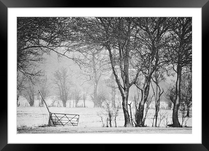 In the Bleak Midwinter Framed Mounted Print by Dawn Cox