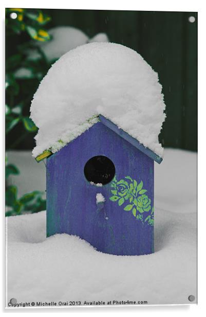 Purple birdbox Acrylic by Michelle Orai