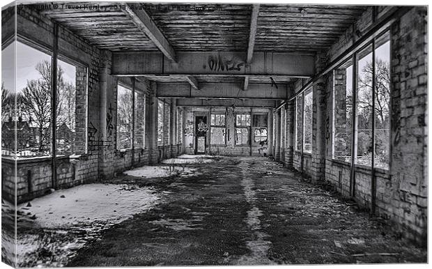 Abandonded and Empty Canvas Print by Trevor Kersley RIP