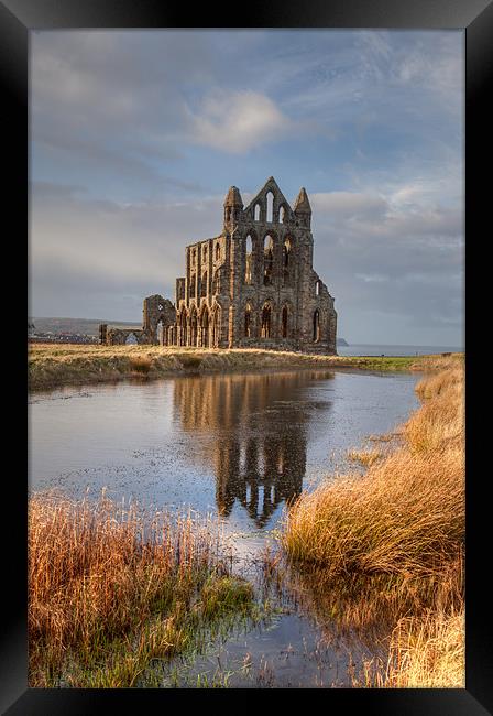 Whitby Abbey Framed Print by Gail Johnson