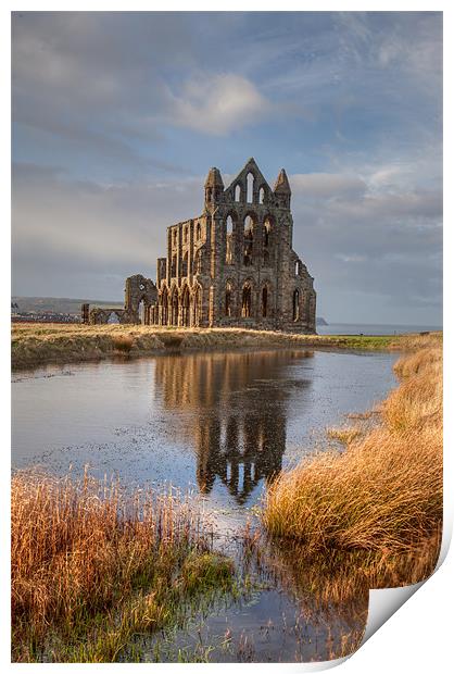 Whitby Abbey Print by Gail Johnson