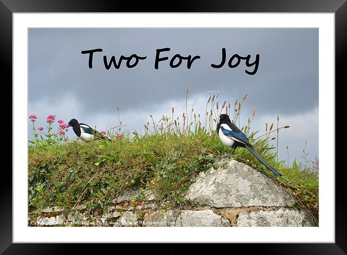 Two For Joy Framed Mounted Print by Malcolm Snook