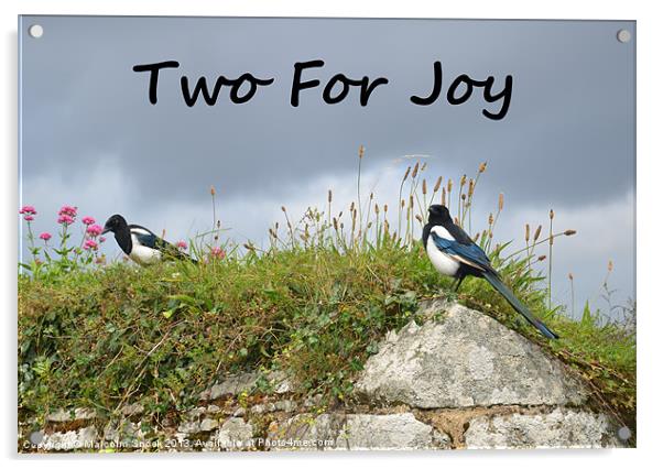 Two For Joy Acrylic by Malcolm Snook