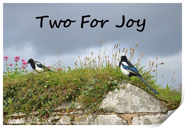 Two For Joy Print by Malcolm Snook