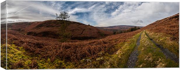 Moscar Moor Panorma Canvas Print by Jonathan Swetnam