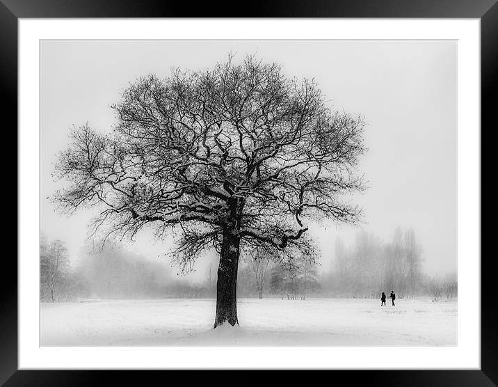 Walking in a winter Wonderland Framed Mounted Print by Ian Hufton