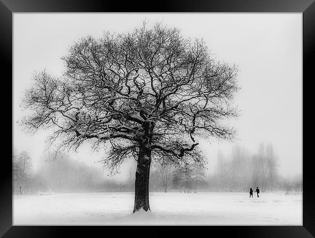 Walking in a winter Wonderland Framed Print by Ian Hufton