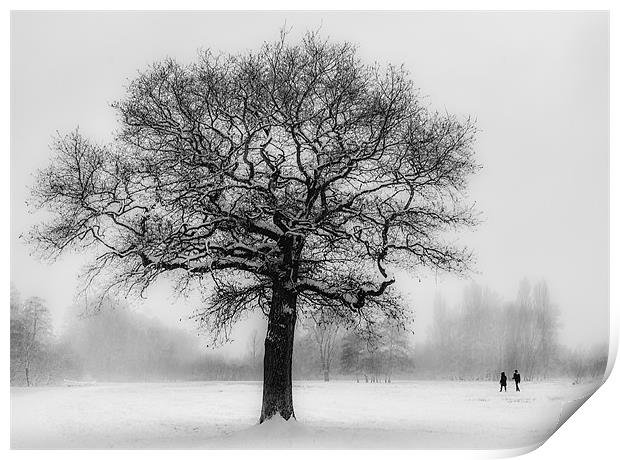 Walking in a winter Wonderland Print by Ian Hufton