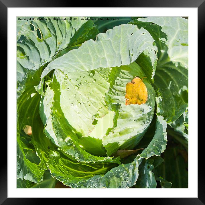 White cabbage with birch leaf Framed Mounted Print by Kathleen Smith (kbhsphoto)