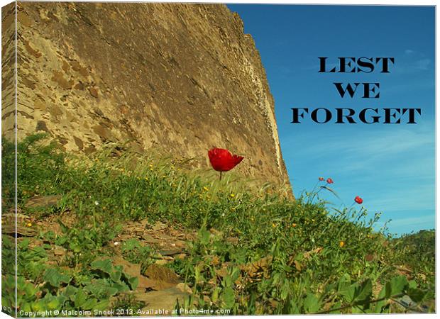 Lest We Forget Canvas Print by Malcolm Snook