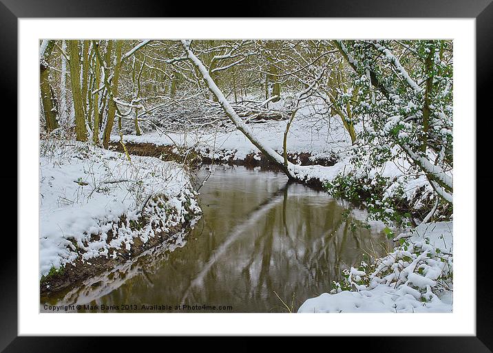 Branch Refection Framed Mounted Print by Mark  F Banks