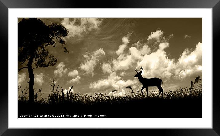 Photoshop collection 1 - Looking for shelter Framed Mounted Print by stewart oakes