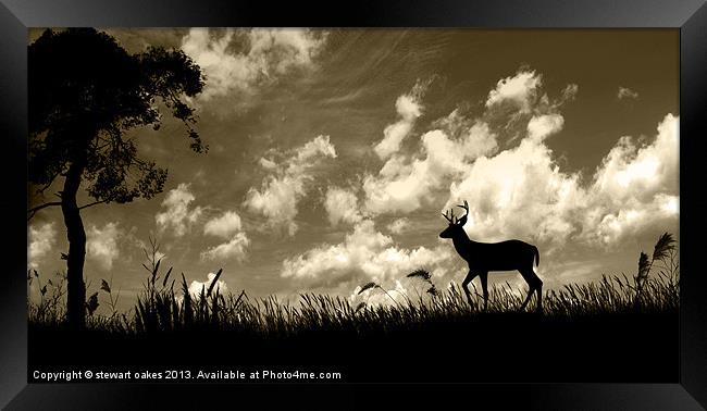Photoshop collection 1 - Looking for shelter Framed Print by stewart oakes