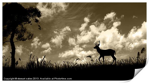Photoshop collection 1 - Looking for shelter Print by stewart oakes