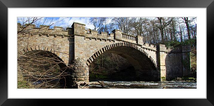Bridging the Almond Framed Mounted Print by Tom Gomez