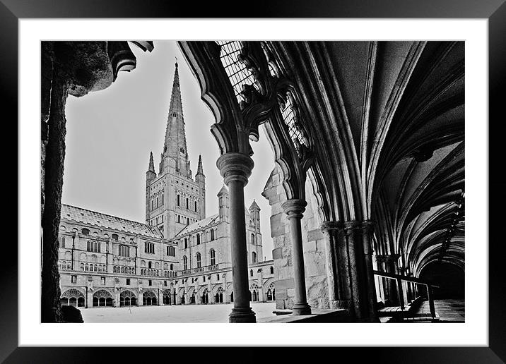 Norwich Cathedral From the Cloisters Framed Mounted Print by Paul Macro