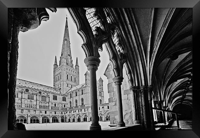 Norwich Cathedral From the Cloisters Framed Print by Paul Macro