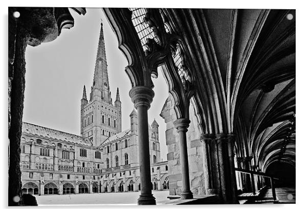 Norwich Cathedral From the Cloisters Acrylic by Paul Macro