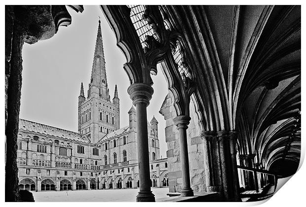 Norwich Cathedral From the Cloisters Print by Paul Macro