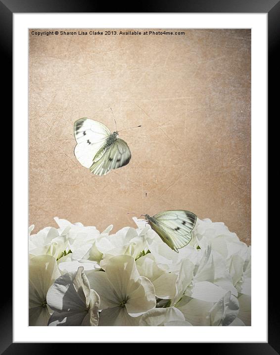 Purity Framed Mounted Print by Sharon Lisa Clarke