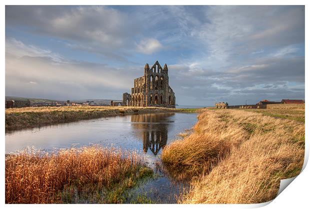 Whitby Abbey Print by Gail Johnson