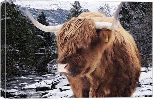 Highland Cattle Canvas Print by Sam Smith