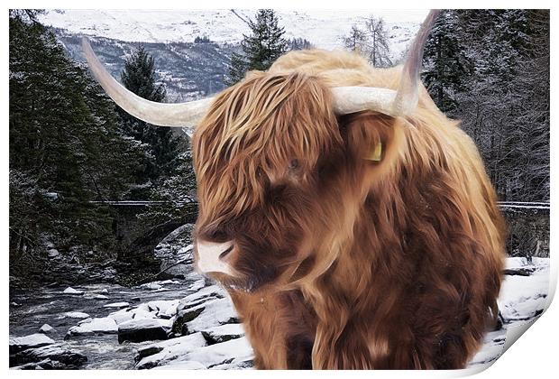 Highland Cattle Print by Sam Smith