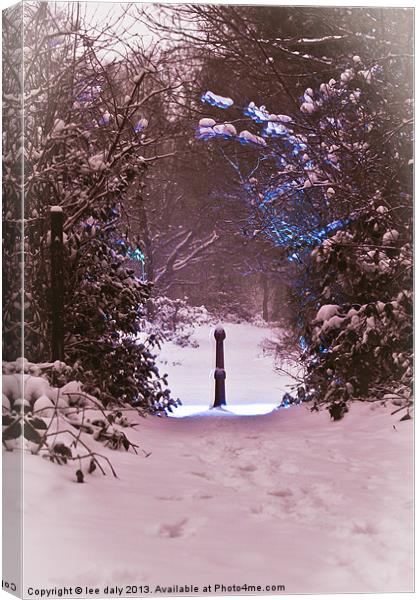 gate way to Narnia Canvas Print by Lee Daly