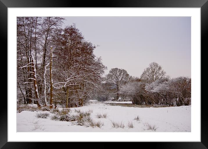 Winter wonderland Framed Mounted Print by Dawn Cox