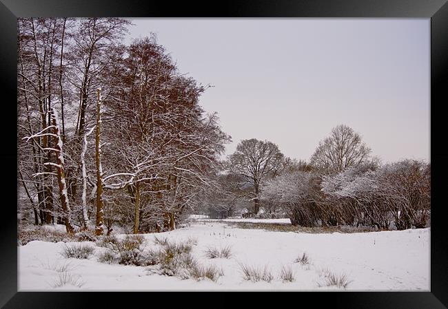 Winter wonderland Framed Print by Dawn Cox