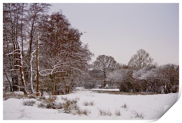 Winter wonderland Print by Dawn Cox