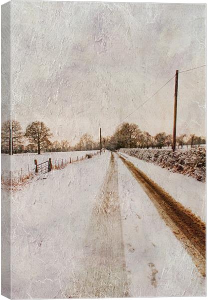 The long road home Canvas Print by Dawn Cox