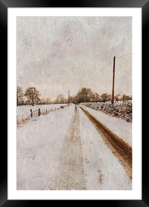 The long road home Framed Mounted Print by Dawn Cox