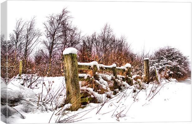 Old gate Canvas Print by kevin wise