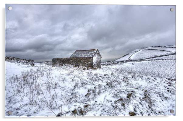 Winter on Exmoor Acrylic by Mike Gorton