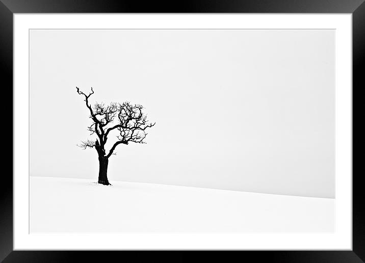 Isolated Dead Tree in Snow 2 Framed Mounted Print by Paul Macro
