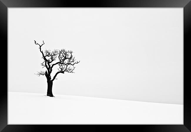 Isolated Dead Tree in Snow 2 Framed Print by Paul Macro
