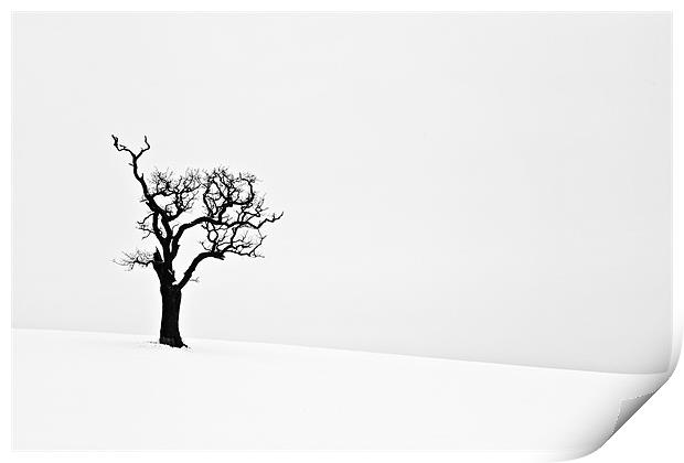 Isolated Dead Tree in Snow 2 Print by Paul Macro