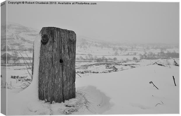 stump in the snow Canvas Print by Robert Chadwick