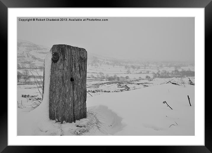 stump in the snow Framed Mounted Print by Robert Chadwick