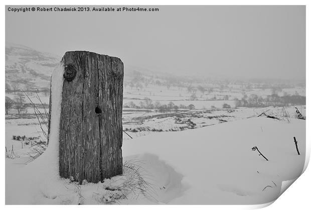 stump in the snow Print by Robert Chadwick