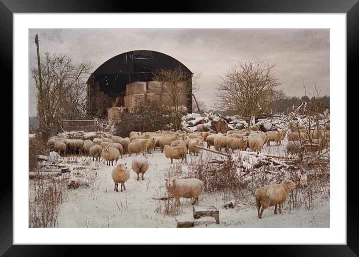 gathered around Framed Mounted Print by Dawn Cox
